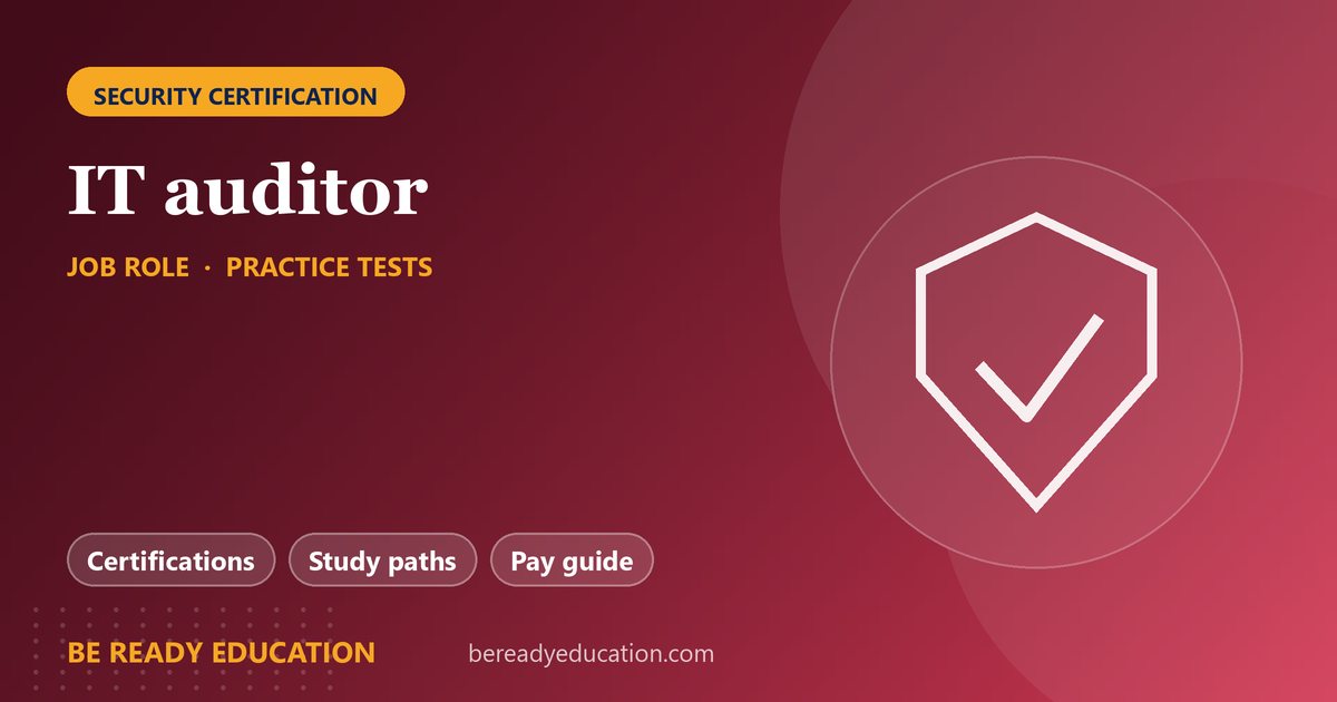 IT auditor