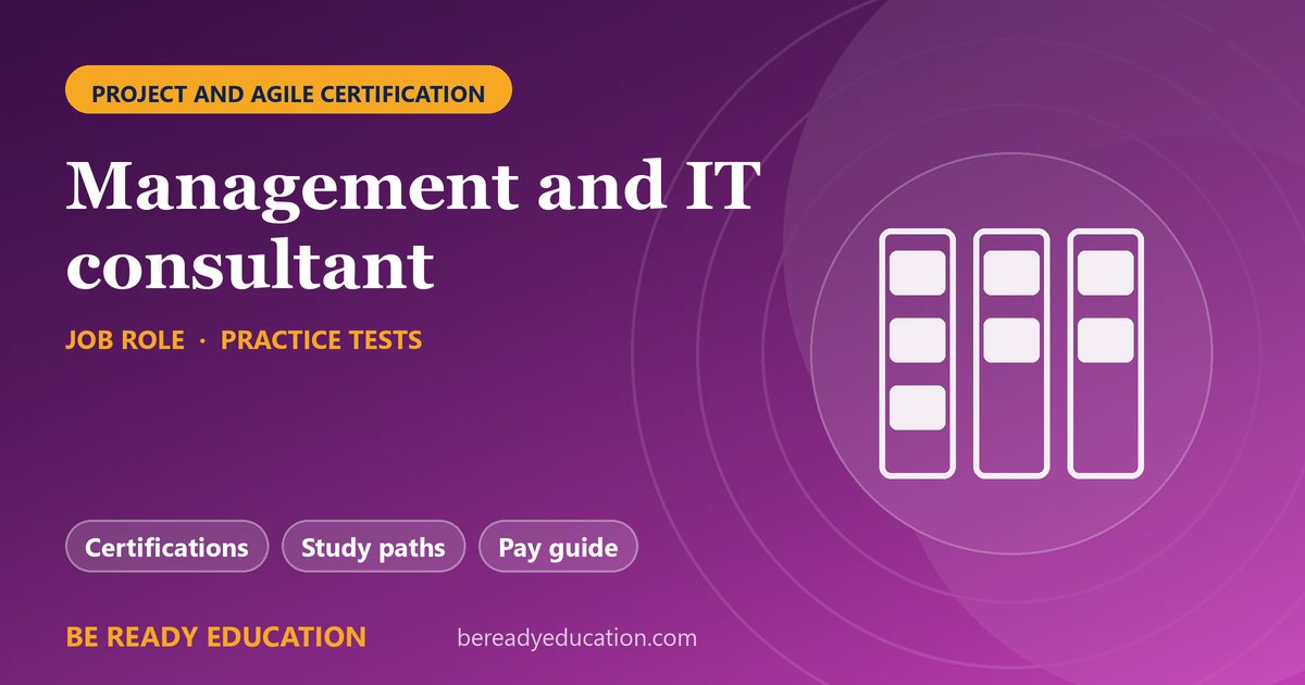 Management and IT consultant